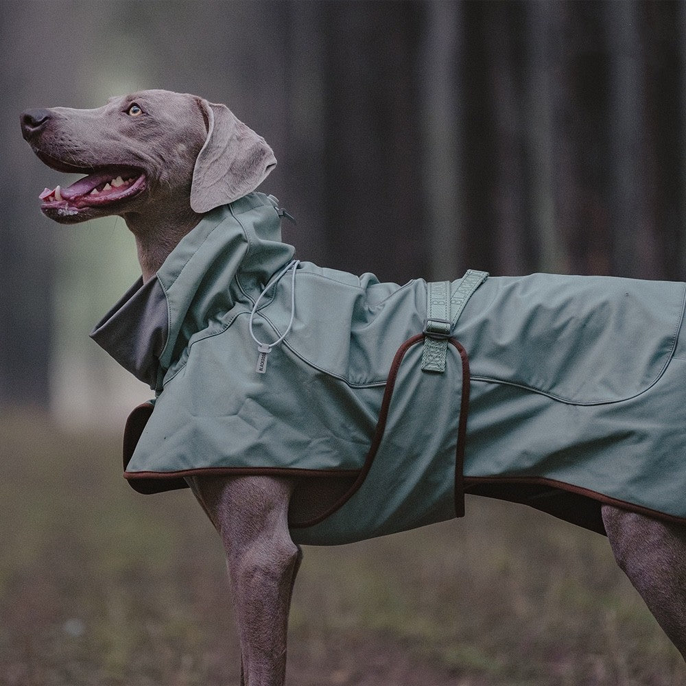 Chaqueta de exterior suave y cálida para perros, resistente al agua y al viento