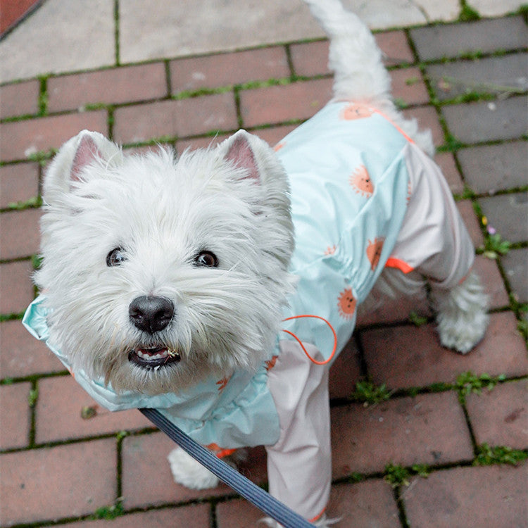 Imperméable à quatre pattes pour animaux de compagnie, ensemble complet avec réfléchissant, imperméable et coupe-vent