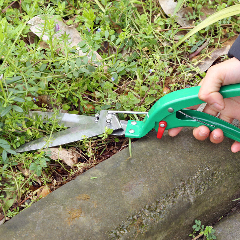 Ensemble d'outils de jardinage de dix pièces