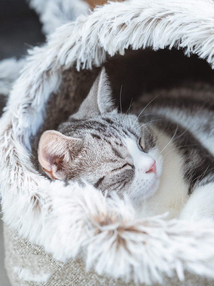 Arena para gatos polar cálida, saco de dormir para gatos cerrado, cama grande para gatos para dormir profundamente en invierno