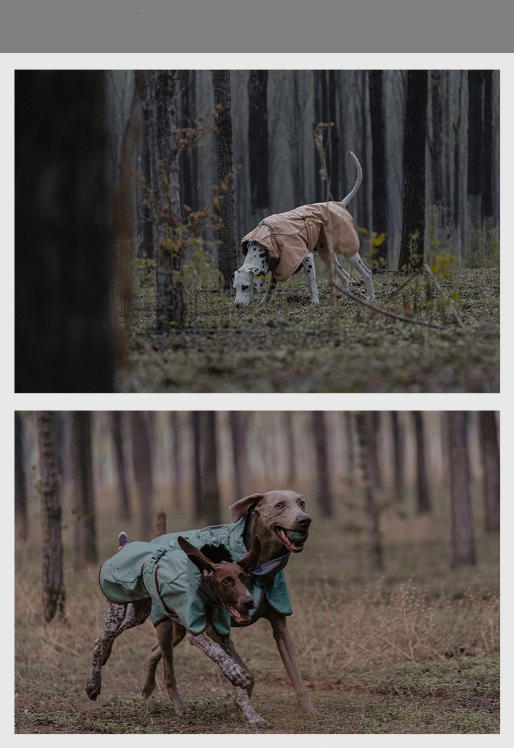 Chaqueta de exterior suave y cálida para perros, resistente al agua y al viento