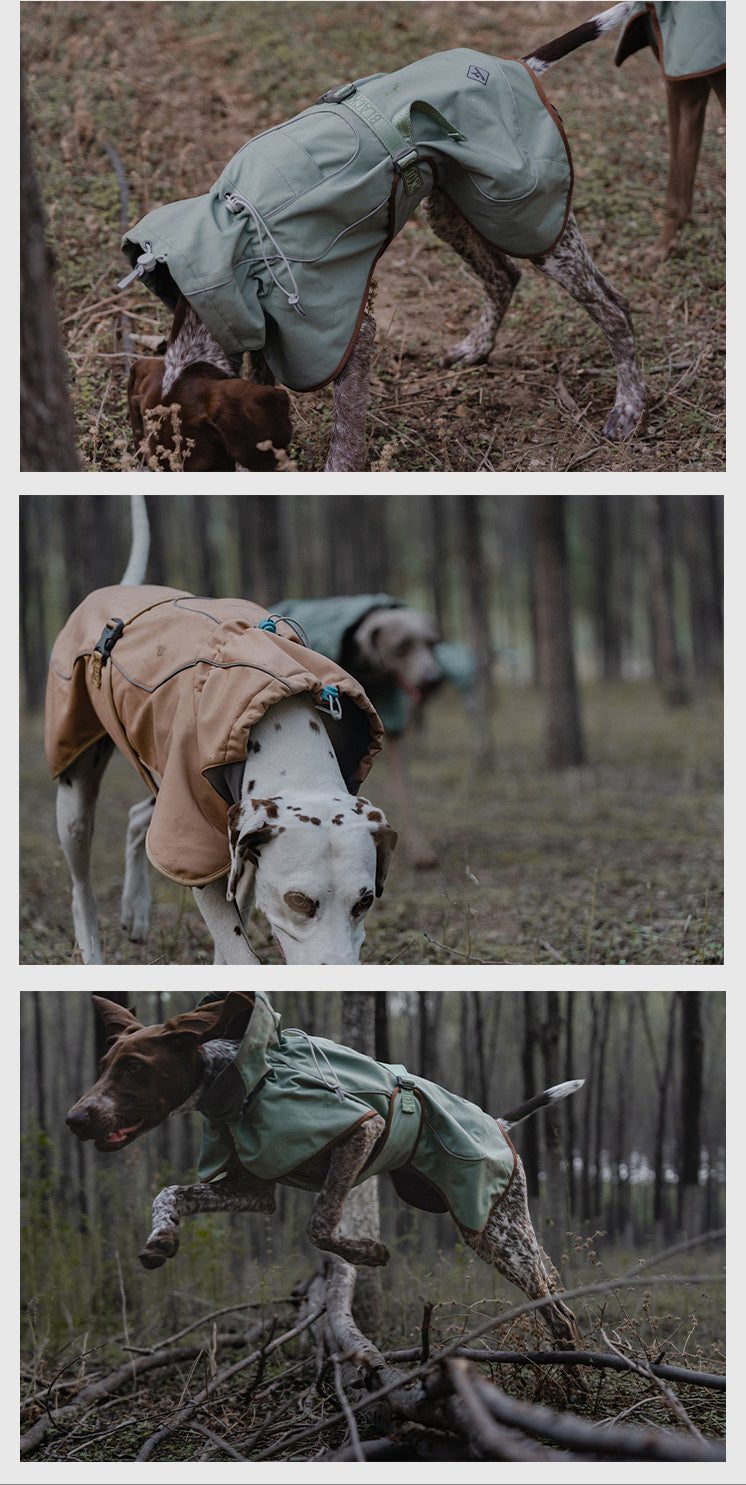 Chaqueta de exterior suave y cálida para perros, resistente al agua y al viento