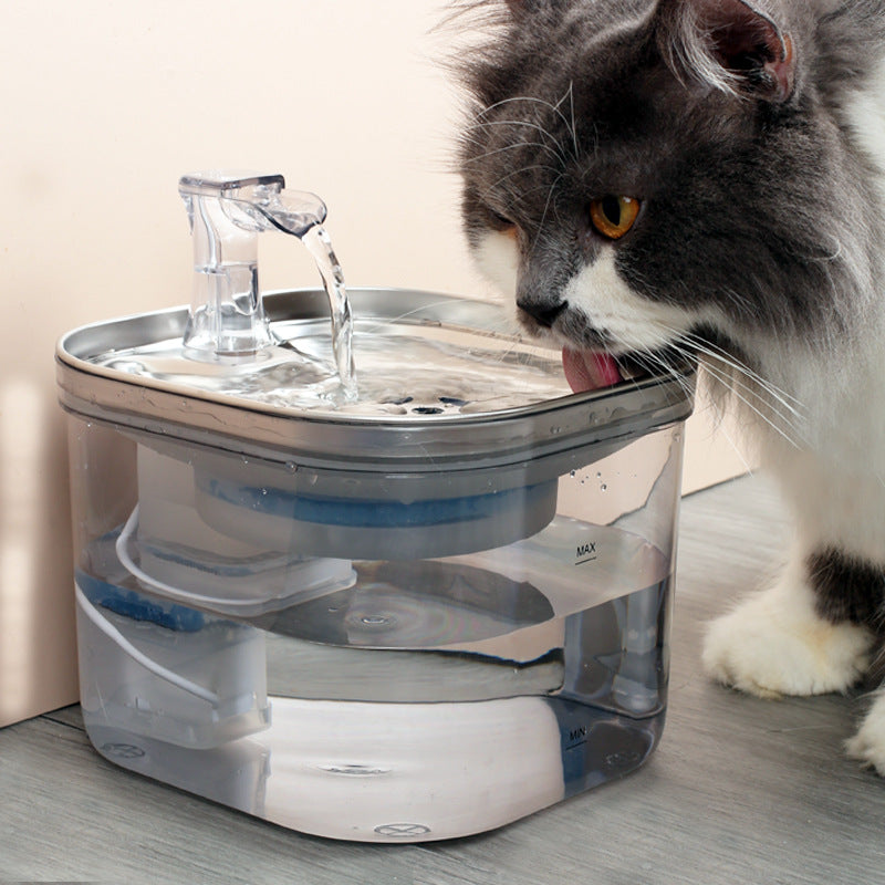 Distributeur d'eau à Circulation automatique en acier inoxydable, pour animaux de compagnie, chat, chien, fontaine intelligente, accessoires pour animaux de compagnie