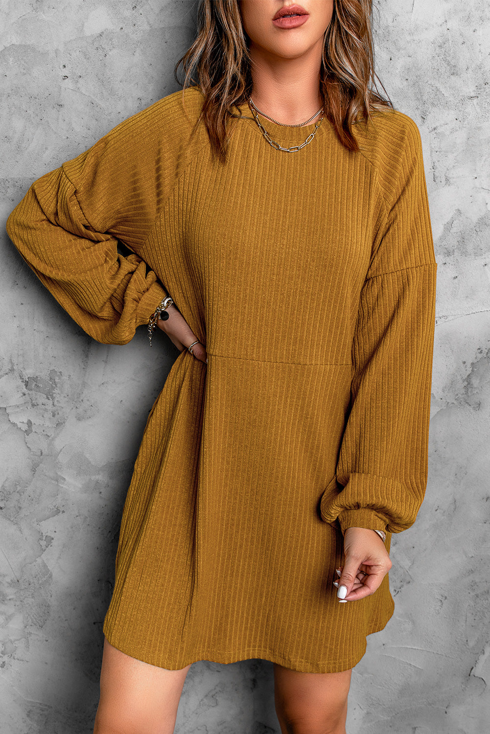 Round Neck Long Sleeve Mini Dress