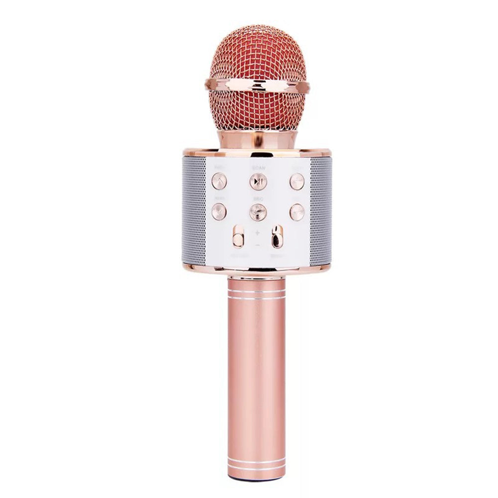 Microphone sans fil Portable Bluetooth, Mini Ktv domestique pour jouer de la musique, haut-parleur chantant