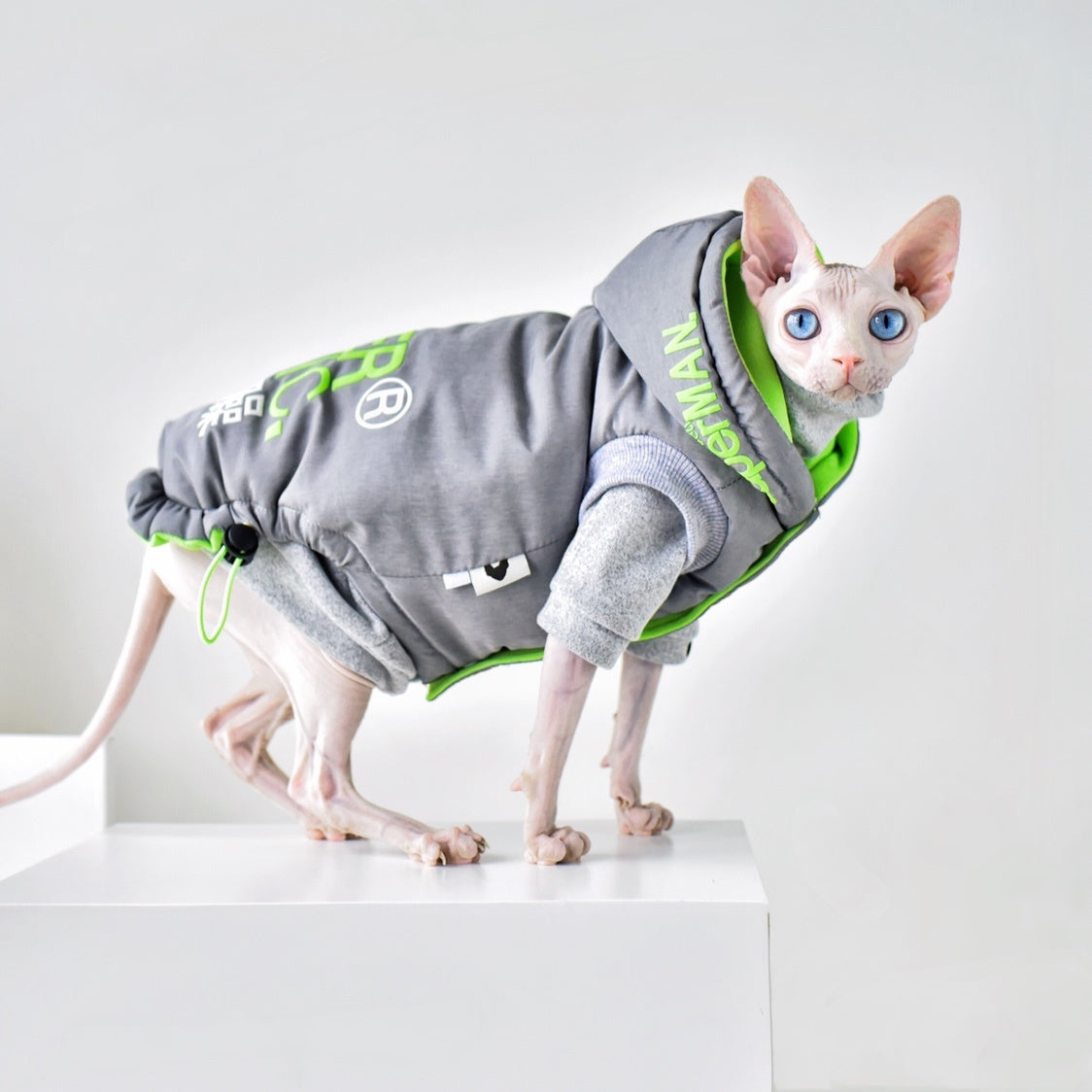 Ropa para gatos sin pelo con abrigo de invierno