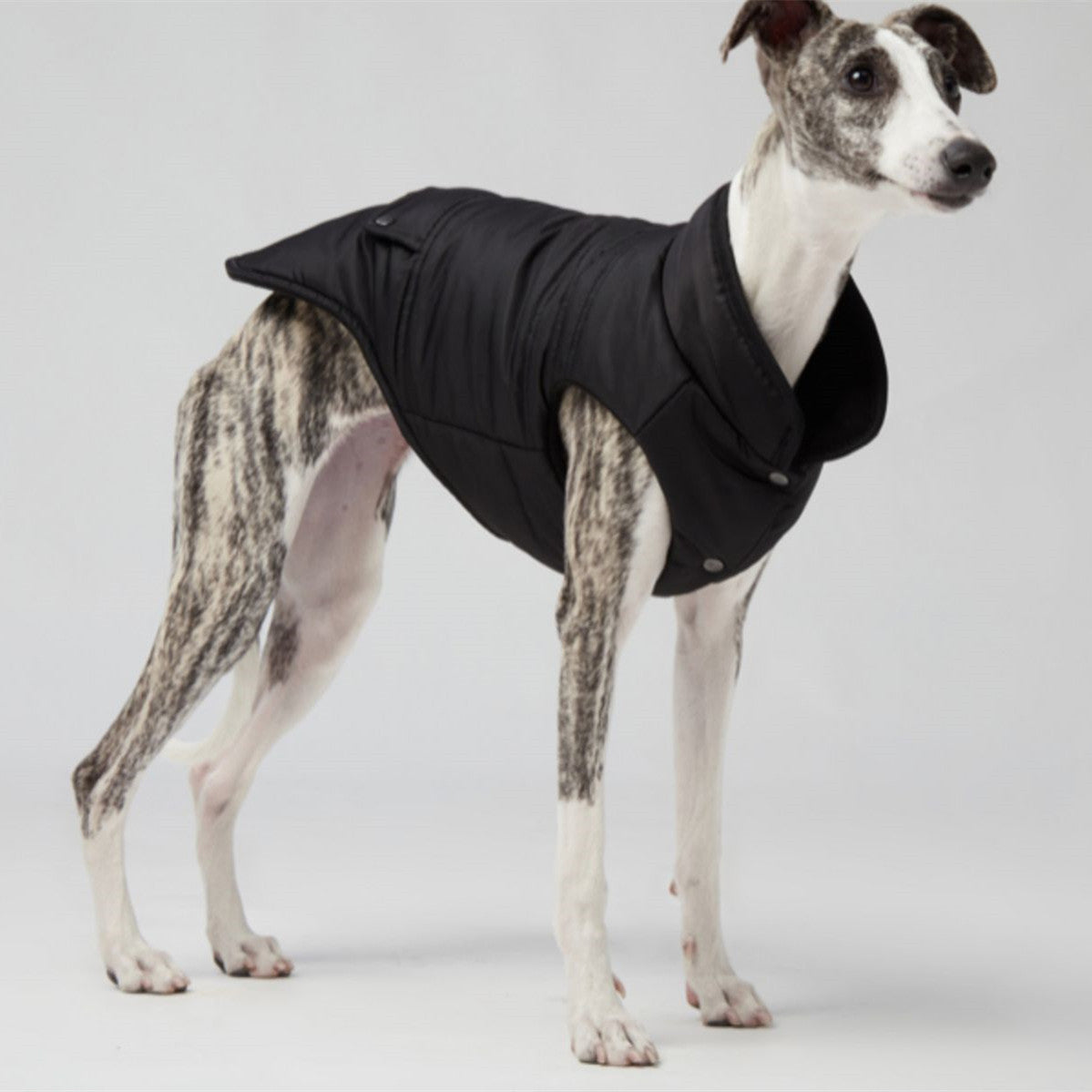 Gilet chaud en polaire de nylon hydrofuge léger pour chien