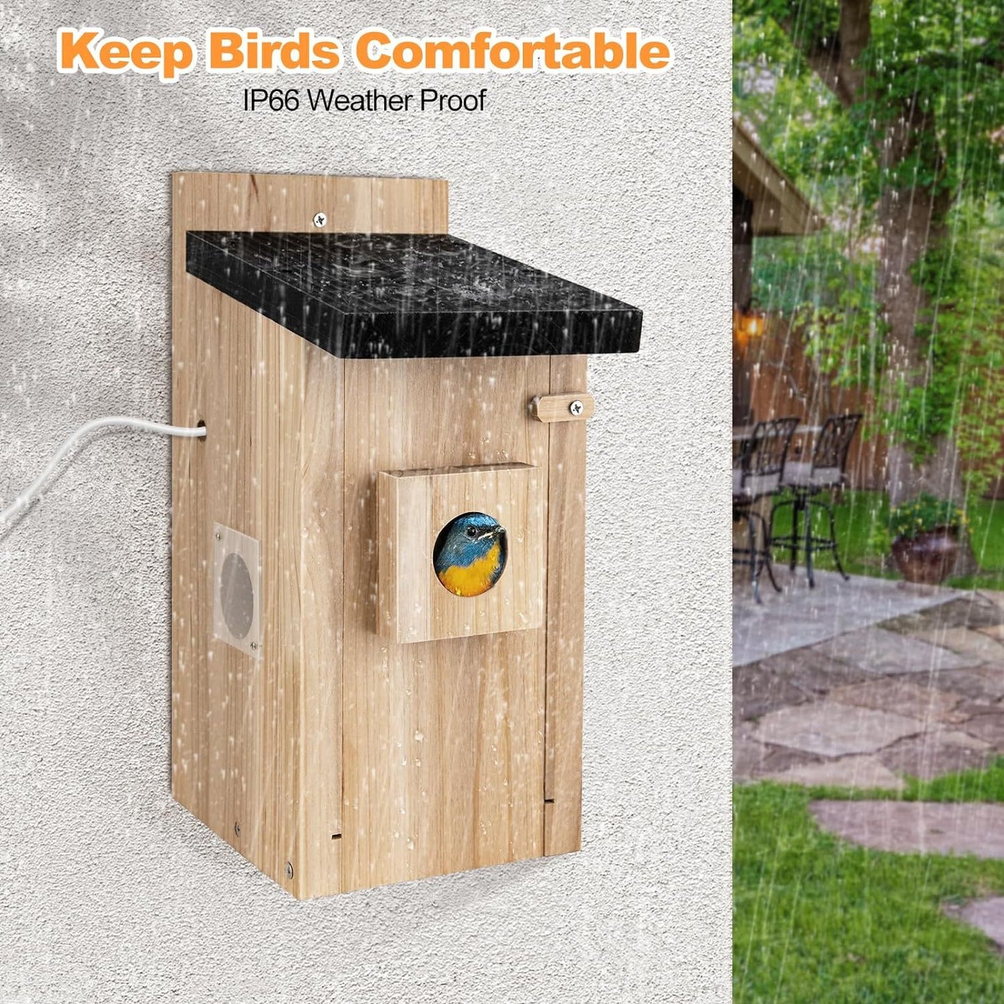 Casa para pájaros inteligente con cámara, cámara para pájaros de 3 MP para exteriores, captura automática de vídeos de aves y detección de movimiento, observe cómo anidan y eclosionan aves en tiempo real, regalo ideal para bricolaje