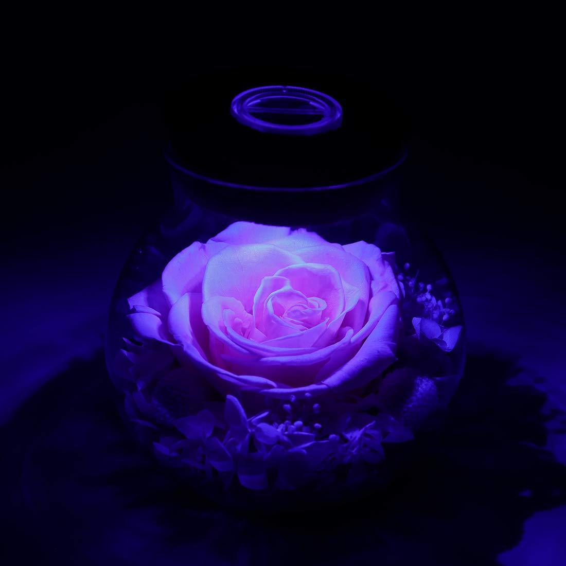 Bouteille de souhaits Rose éternelle Lumière LED Décoration de la maison