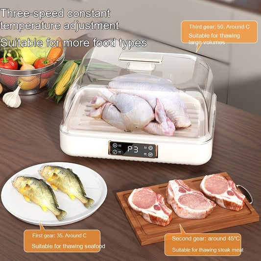 Placa de transferencia de calor para carne y filete, artefacto de descongelación a temperatura constante, para el hogar