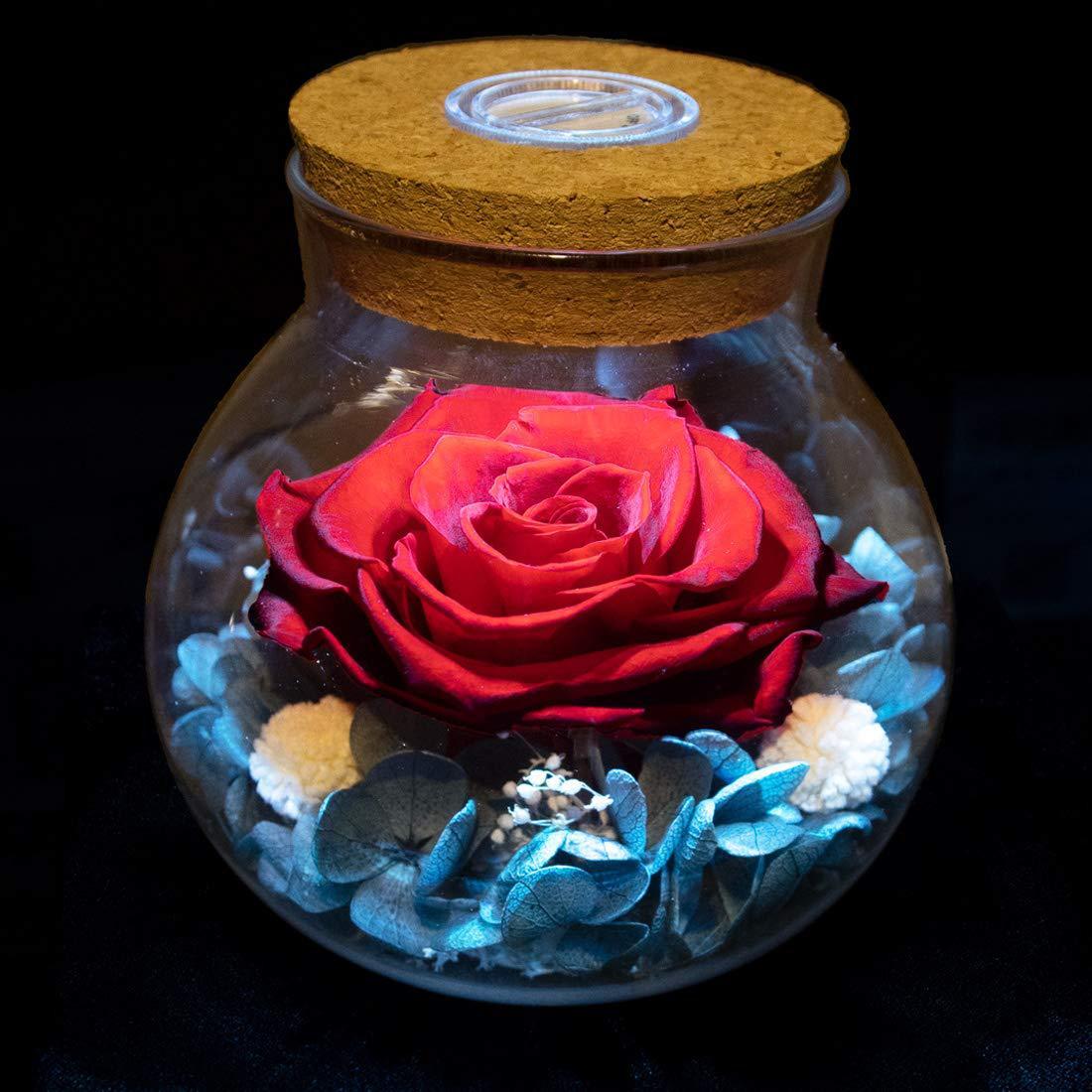 Wishing Bottle Eternal Rose LED Light Home Decoration