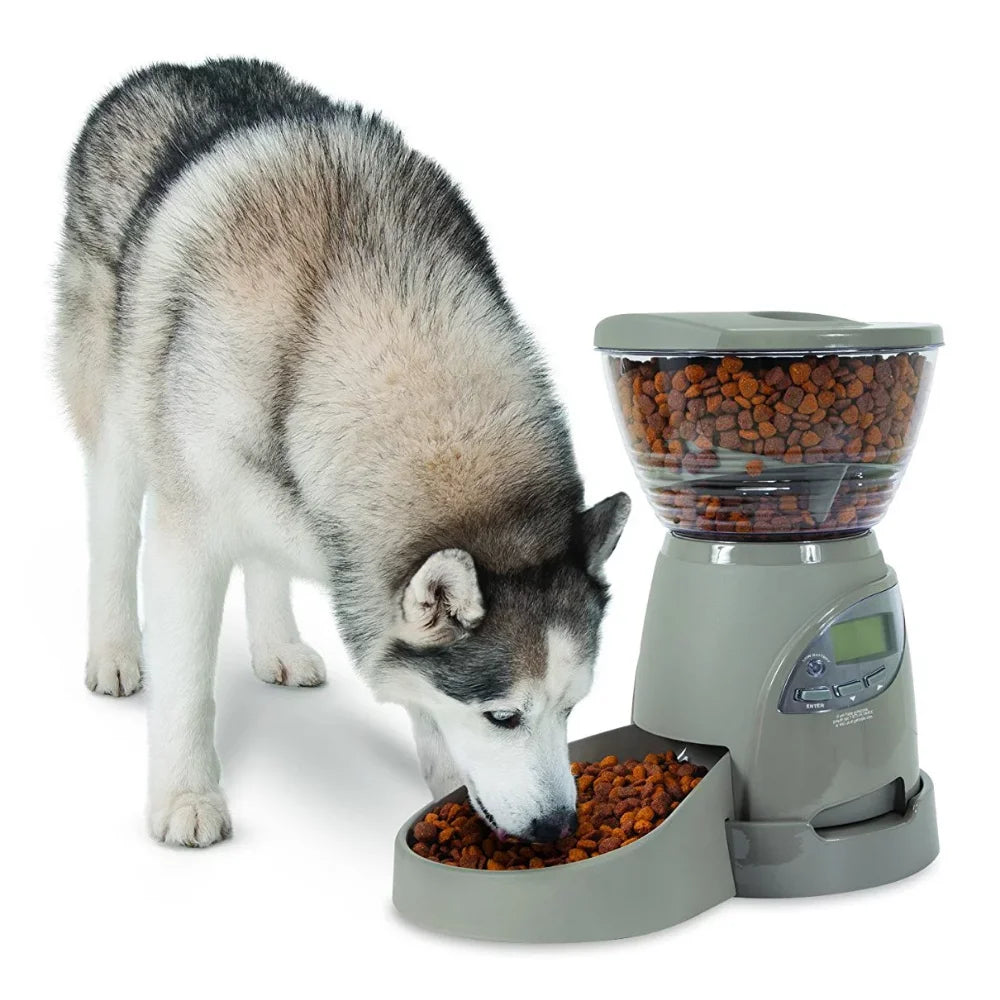 Mangeoire programmable pour animaux de compagnie, portion droite, 5 lb, pour chiens et chats, gris, 10,00 x 14,00 x 17,00 pouces