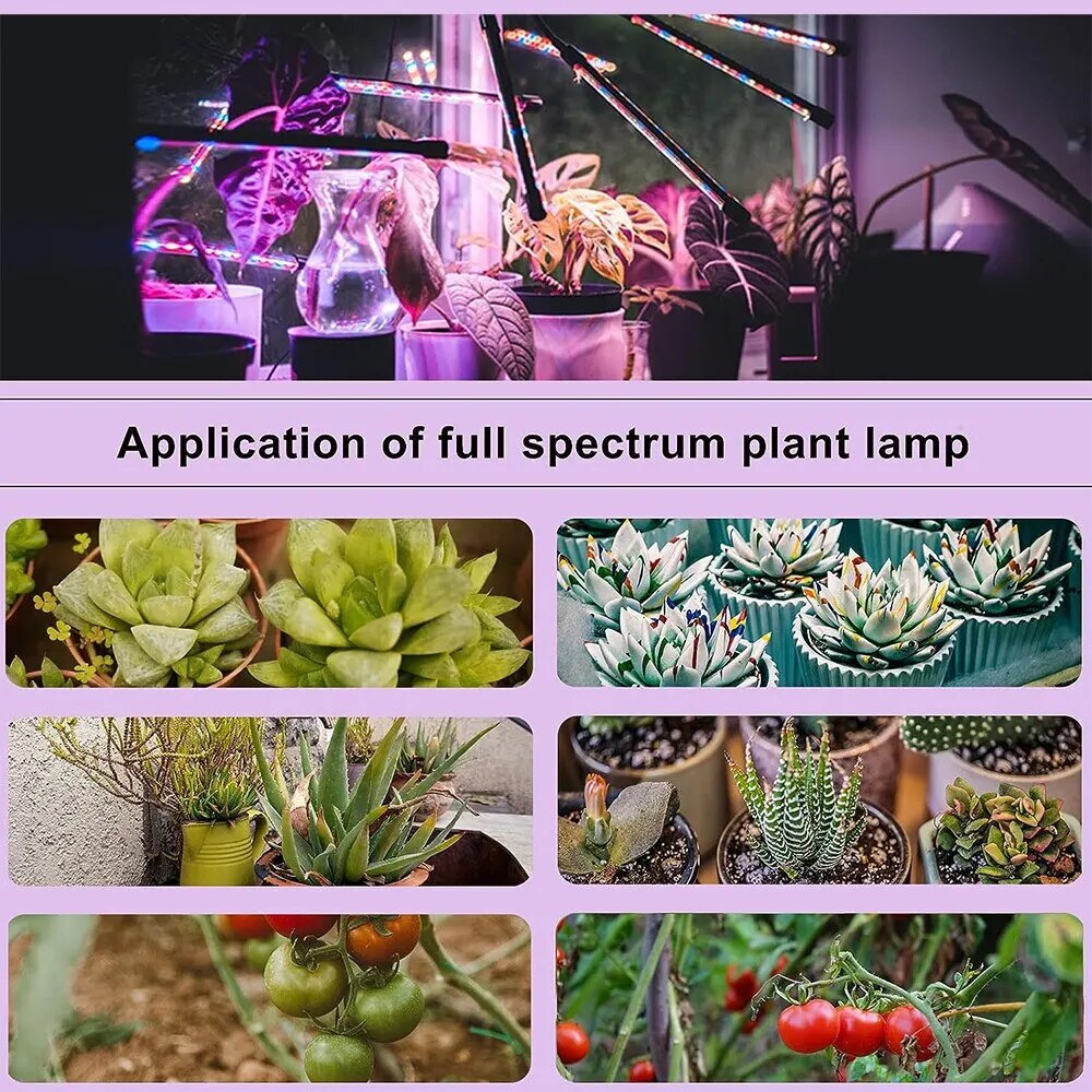 Full Spectrum LED Plant Grow Light,Adjustable Gooseneck, 9 Dimmable Levels, 3 / 9 / 12H Timer