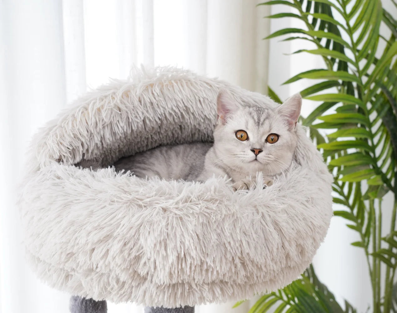 Árbol para gatos gris de 4 niveles con condominio y almohadilla para rascar, rascador para gatos de 48 pulgadas de altura, torre para árbol para gatos