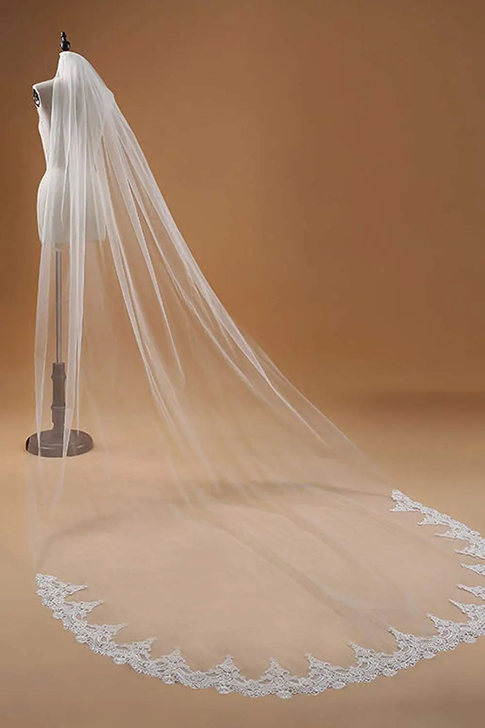 BABYONLINE voile à bords en dentelle florale avec peigne, voile à 1 niveau, 3m x 1.5m de Long, longueur cathédrale, accessoires de mariée