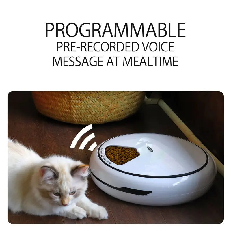 Mangeoire programmable à cinq repas avec message vocal pour chiens, chats et lapins, 25 oz. Bol de nourriture pour abreuvoir et mangeoire pour animaux de compagnie