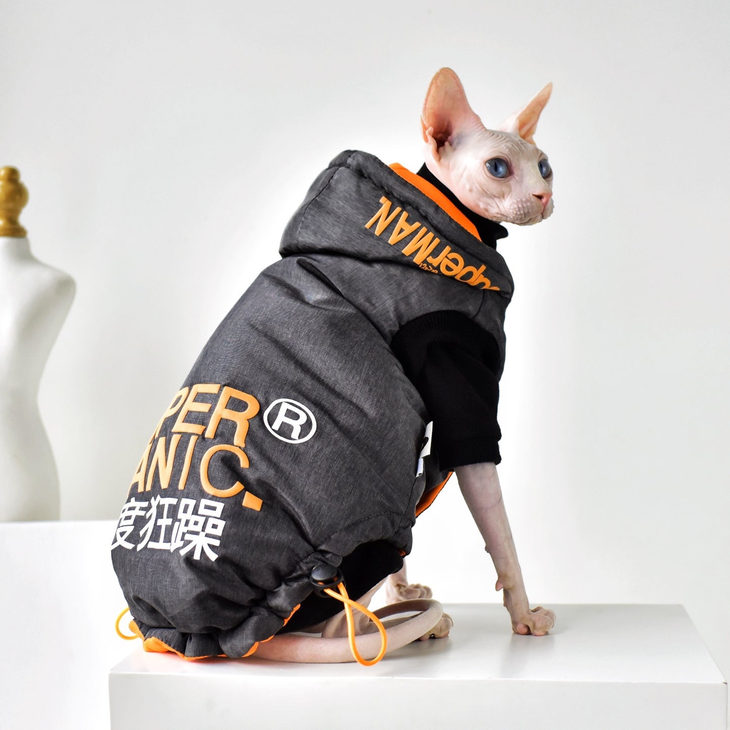 Ropa para gatos sin pelo con abrigo de invierno