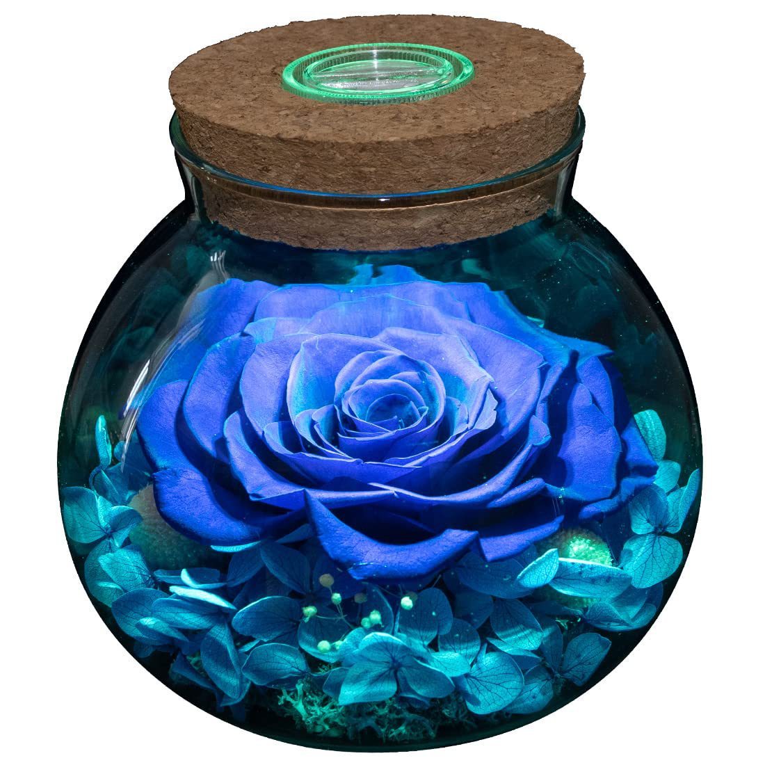 Wishing Bottle Eternal Rose LED Light Home Decoration