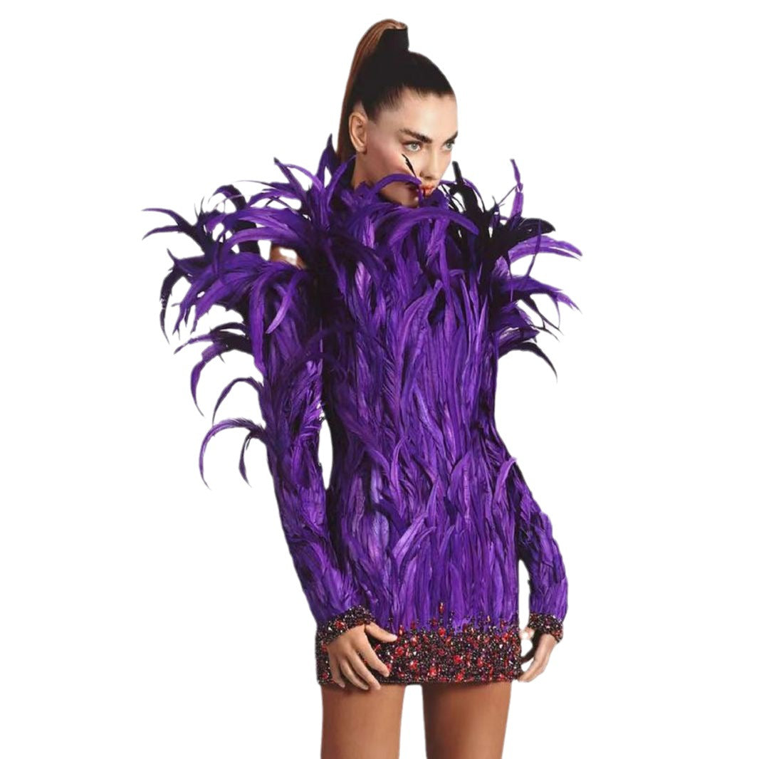 Robe élégante en plumes à la mode, manches longues