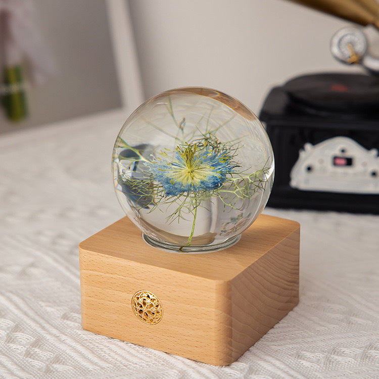 Wooden Base Flower Specimen Night Lamp