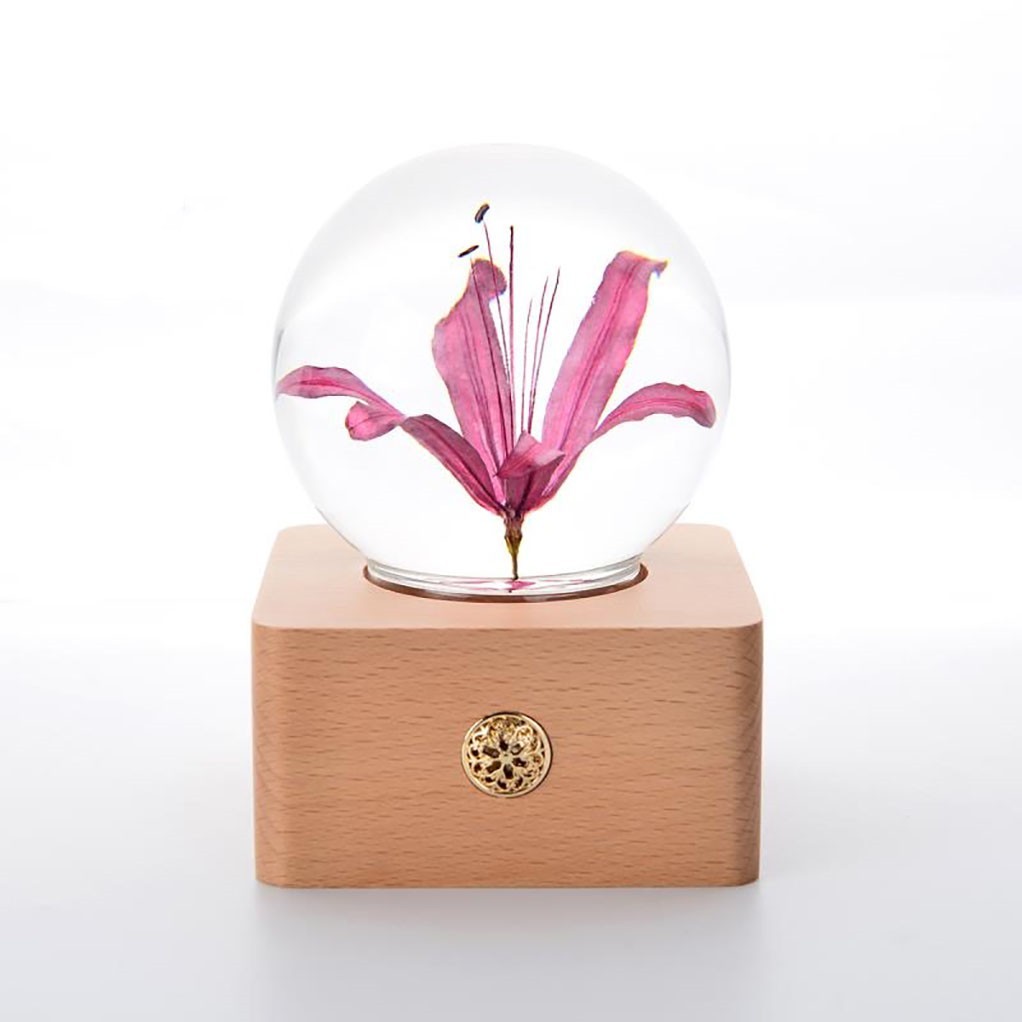 Wooden Base Flower Specimen Night Lamp