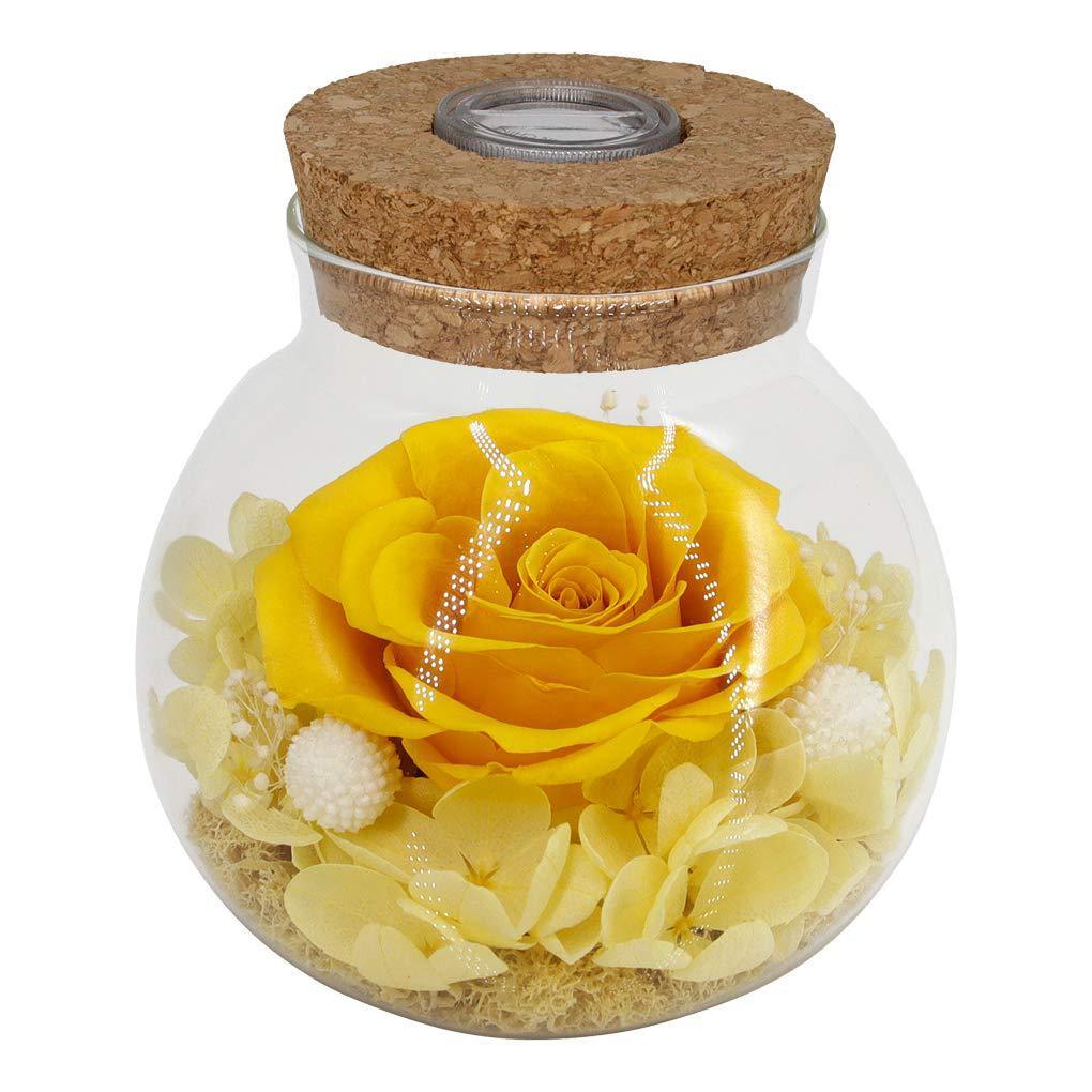 Wishing Bottle Eternal Rose LED Light Home Decoration