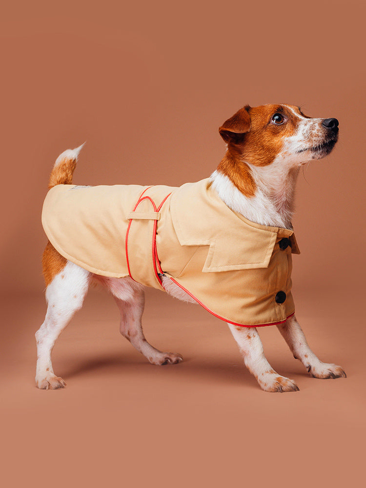 Manteau pratique pour chien tout en coton