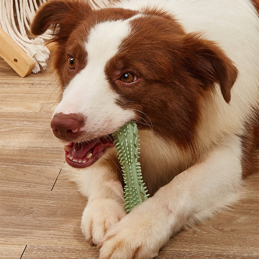 Masticar juguetes para masticar para perros, cepillo dental para perros, Limpieza de dientes, juguete para perros Kong, cepillos de dientes para mascotas, palo de cepillado, suministros para mascotas, juguetes para cachorros