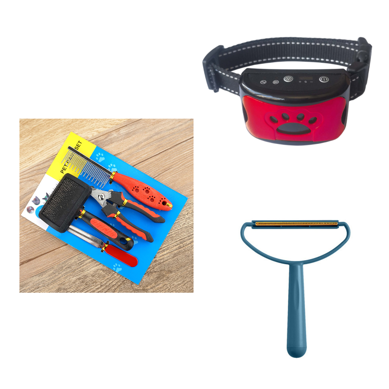 Collier d'entraînement pour chien, étanche, électrique, télécommande pour animaux de compagnie, Rechargeable, anti-aboiement, avec son de Vibration et de choc