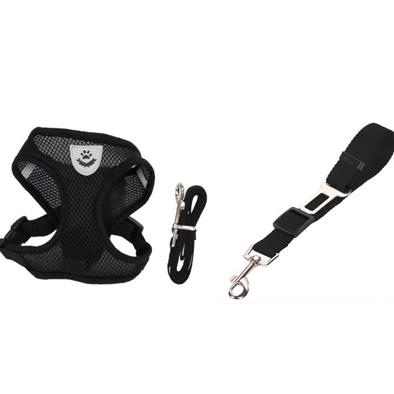 Ceinture de sécurité pour voiture pour animaux de compagnie, laisse pour animaux de compagnie