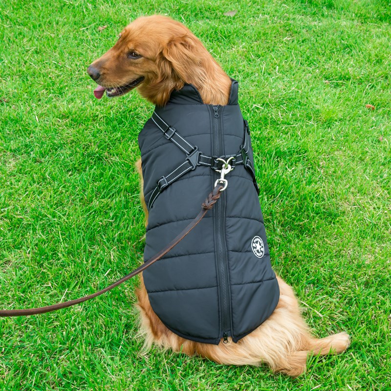 Ropa para perros Chaleco de algodón integrado en la espalda y el pecho Ropa de algodón para mascotas Ropa de invierno