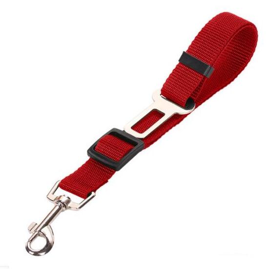 Ceinture de sécurité pour voiture pour animaux de compagnie, laisse pour animaux de compagnie