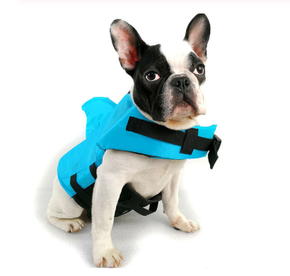 Gilet de sauvetage pour chien, gilet de sauvetage d'été pour animaux de compagnie, requin