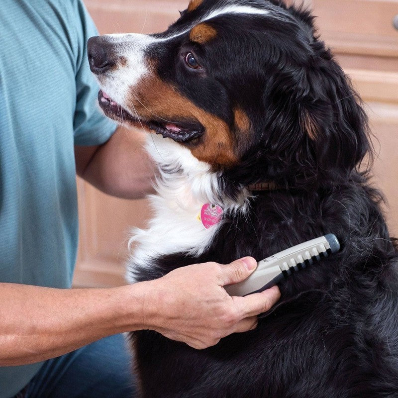 Le peigne de toilettage électrique pour animaux de compagnie