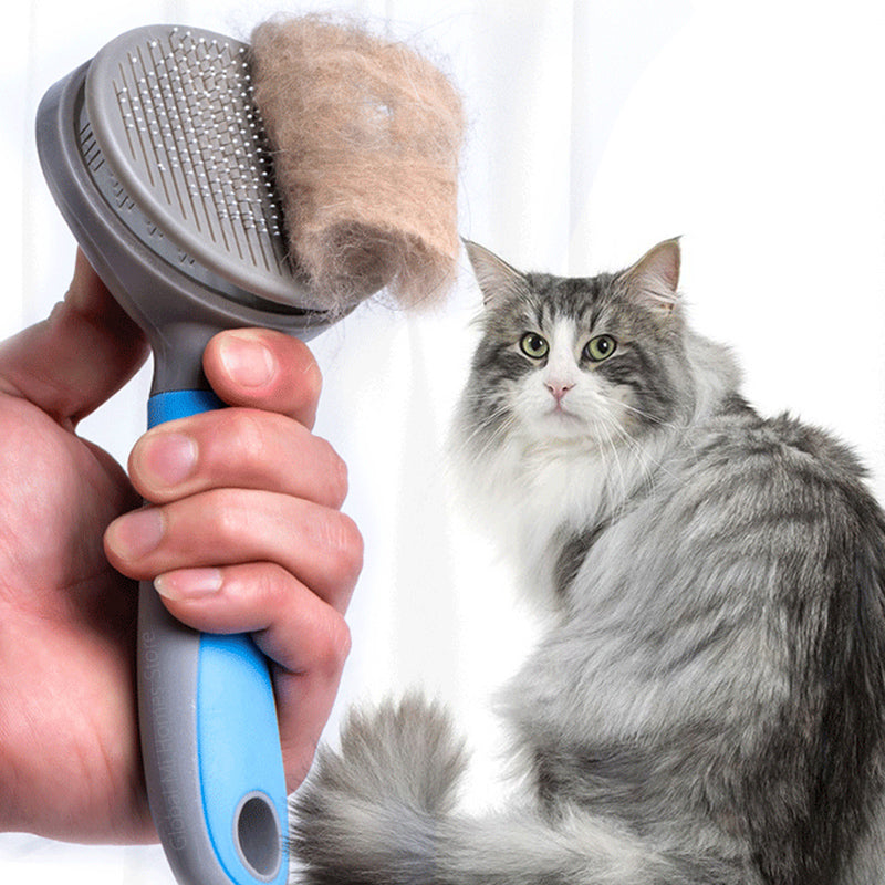 Brosse aiguille en acier pour animaux de compagnie