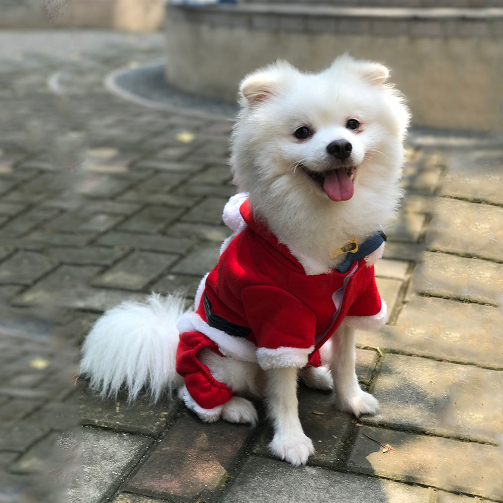 Ropa de abrigo navideña para mascotas.