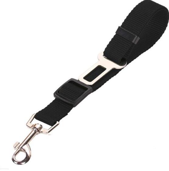 Ceinture de sécurité pour voiture pour animaux de compagnie, laisse pour animaux de compagnie