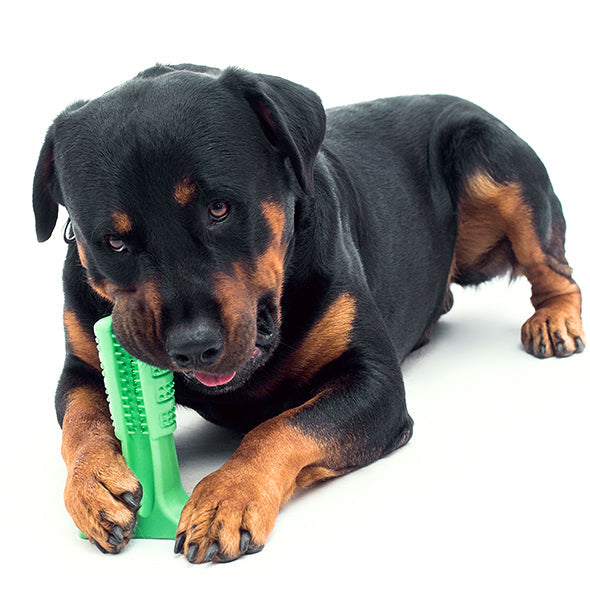 Cepillo de dientes de silicona para mascotas, cepillo de dientes para perros