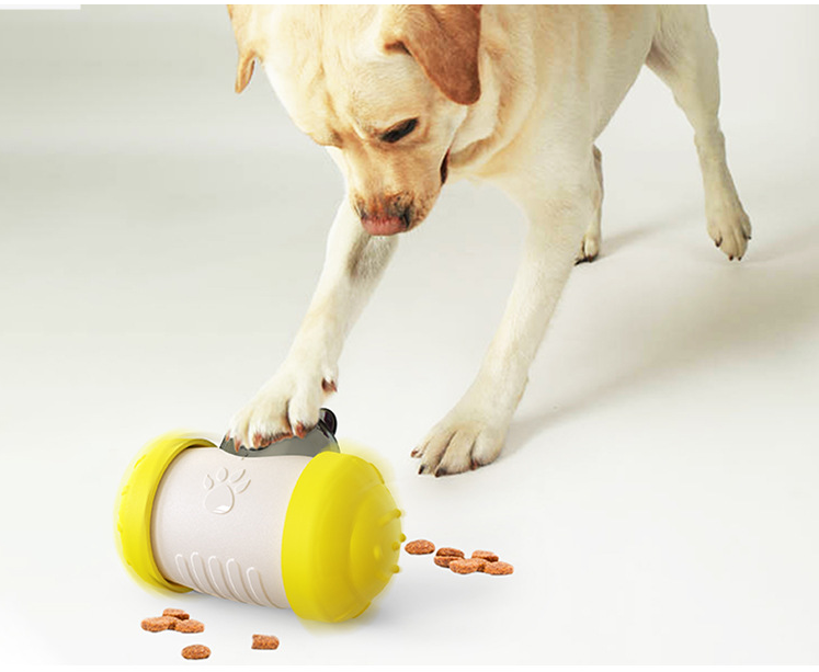 Jouet amusant pour chiens, friandises qui fuient, avec roue, jouet interactif pour chiens, chiots, chats, produits pour animaux de compagnie, fournitures et accessoires