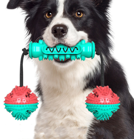 Jouets à mâcher pour chien, brosse à dents pour animaux de compagnie, os en caoutchouc, nettoyage des dents