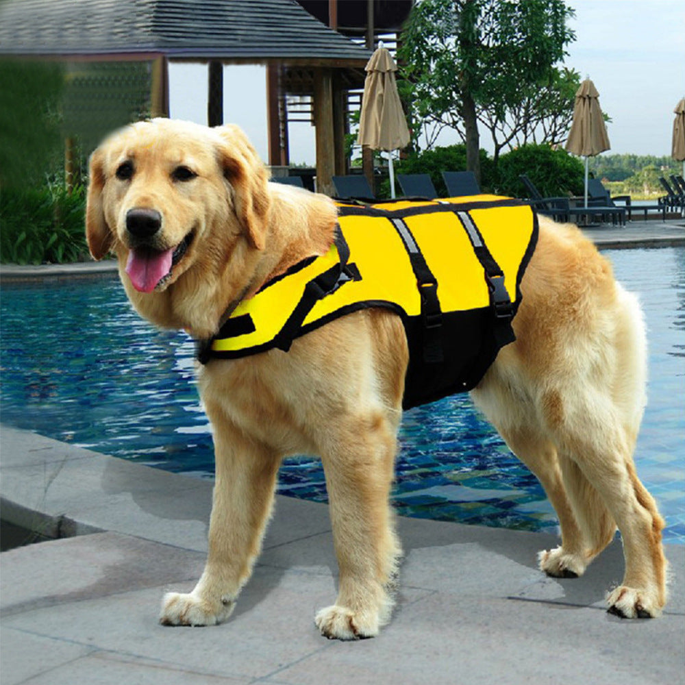 Vêtements pour animaux de compagnie, Maillots de bain pour chiens de compagnie, Gilets de sauvetage pour chiens, Vêtements pour chiens, Gilets de sauvetage pour animaux de compagnie