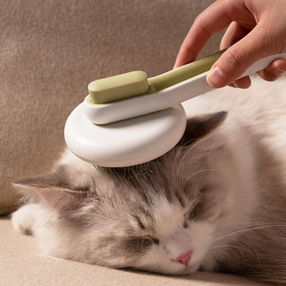 Brosse à poils ronds pour chiens et chats, outil de toilettage, peigne de Massage automatique, fournitures pour animaux de compagnie