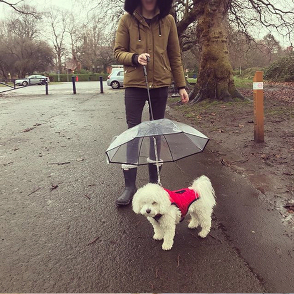 Parapluie transparent pour animaux de compagnie, produits pour animaux de compagnie