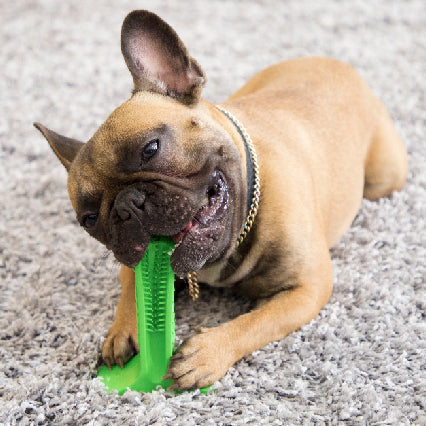 Cepillo de dientes de silicona para mascotas, cepillo de dientes para perros