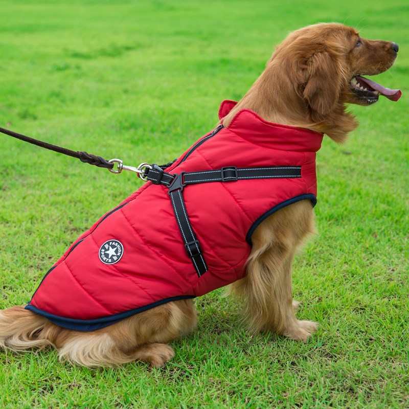 Vêtements pour chiens poitrine dos gilet en coton intégré vêtements en coton pour animaux de compagnie vêtements d'hiver