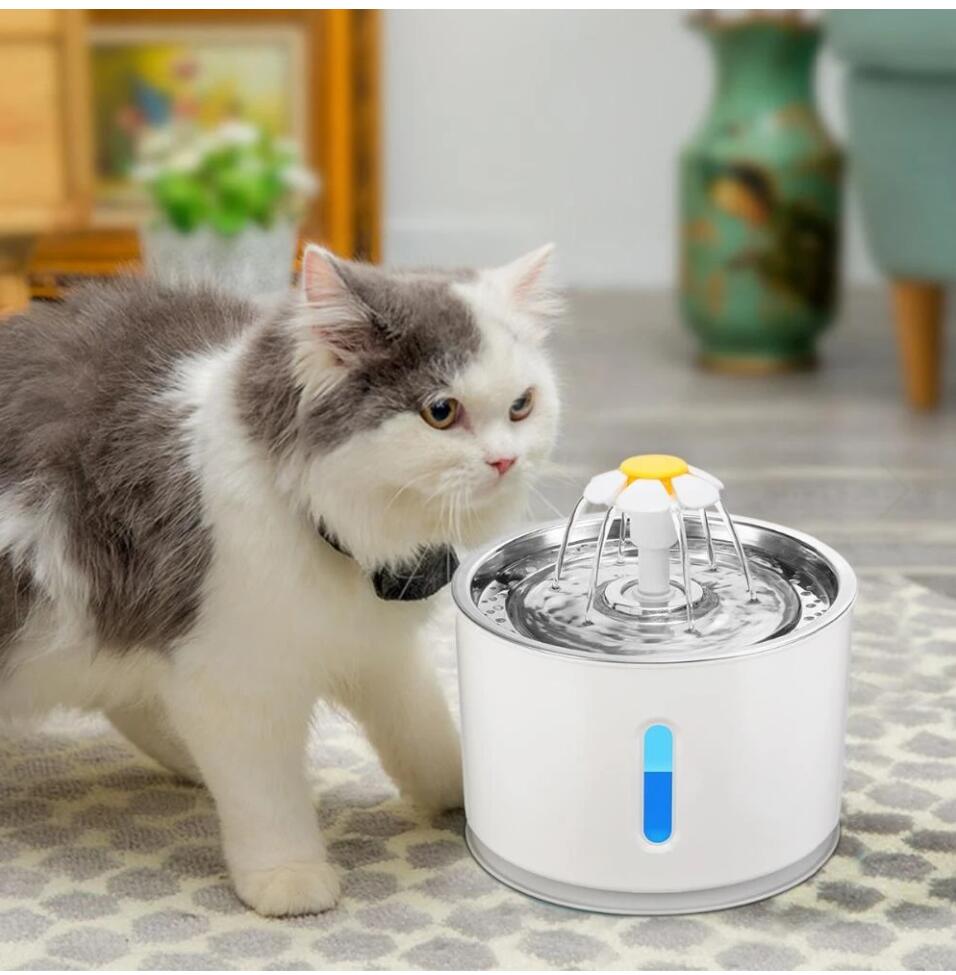 Fontaine d'eau automatique pour animaux de compagnie, avec éclairage LED, USB, pour chiens et chats, abreuvoir muet, bol, distributeur de boissons