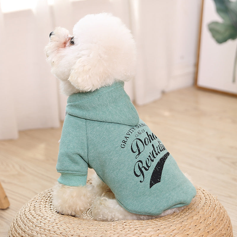 vêtements pour animaux de compagnie