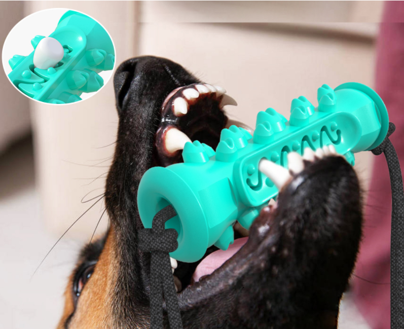 Jouets à mâcher pour chien, brosse à dents pour animaux de compagnie, os en caoutchouc, nettoyage des dents