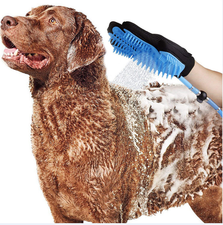 Pommeau de douche pour chien et chat, outil de douche portatif pour le bain