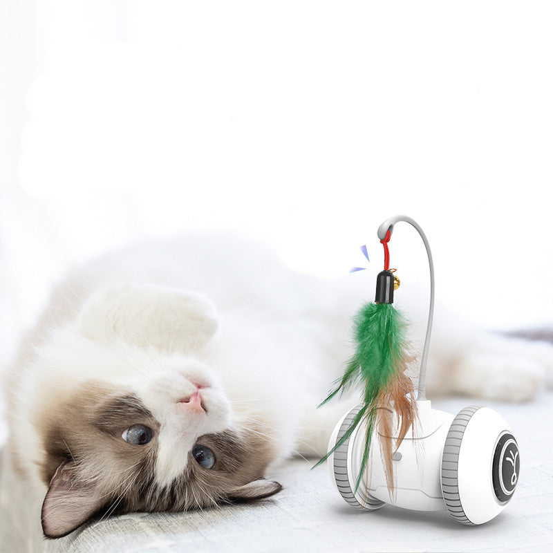 Jouet interactif pour chat avec têtes interchangeables, jouets en plumes pour animaux de compagnie